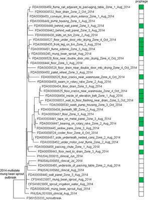 Microevolution and Gain or Loss of Mobile Genetic Elements of Outbreak-Related Listeria monocytogenes in Food Processing Environments Identified by Whole Genome Sequencing Analysis